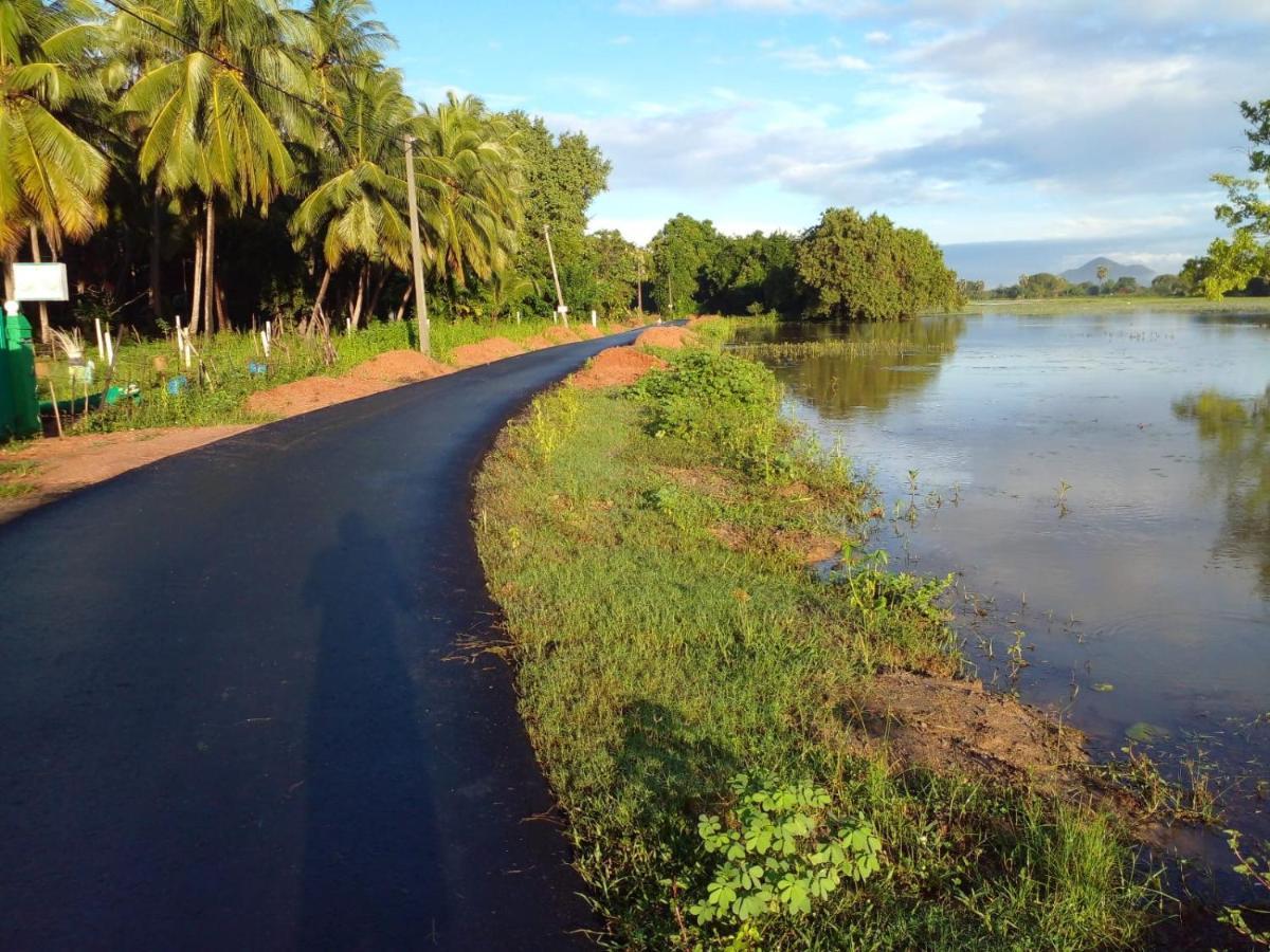 Lake Edge Dambulla Exterior foto