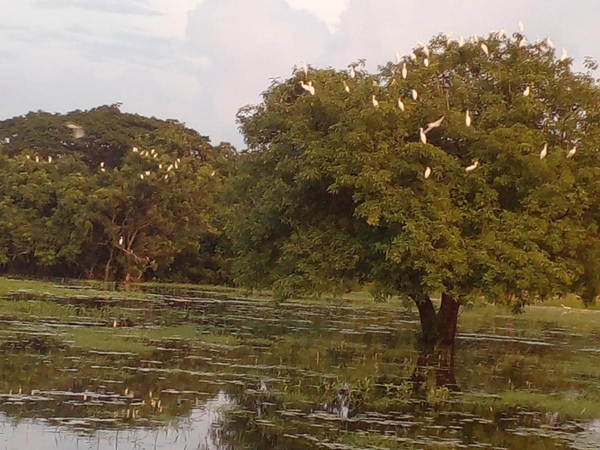 Lake Edge Dambulla Exterior foto