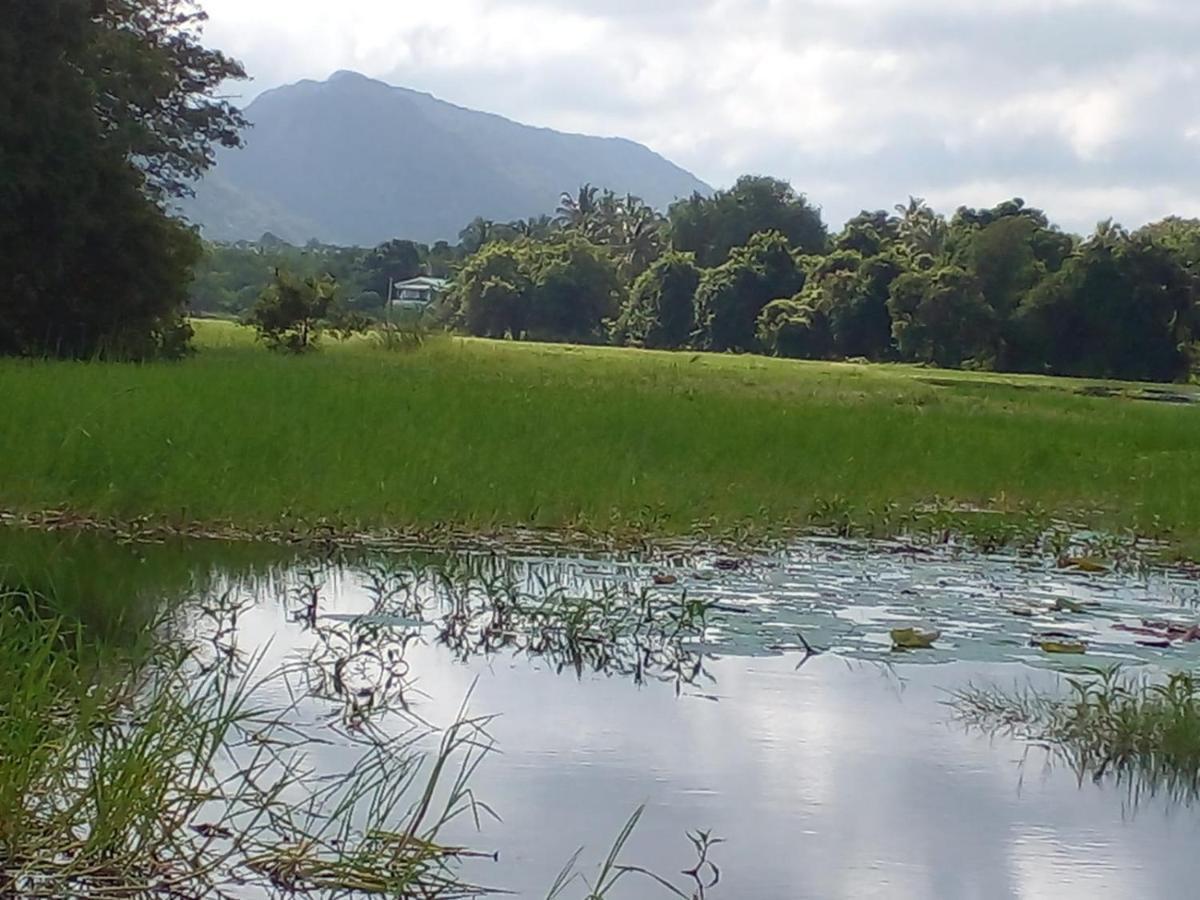 Lake Edge Dambulla Exterior foto