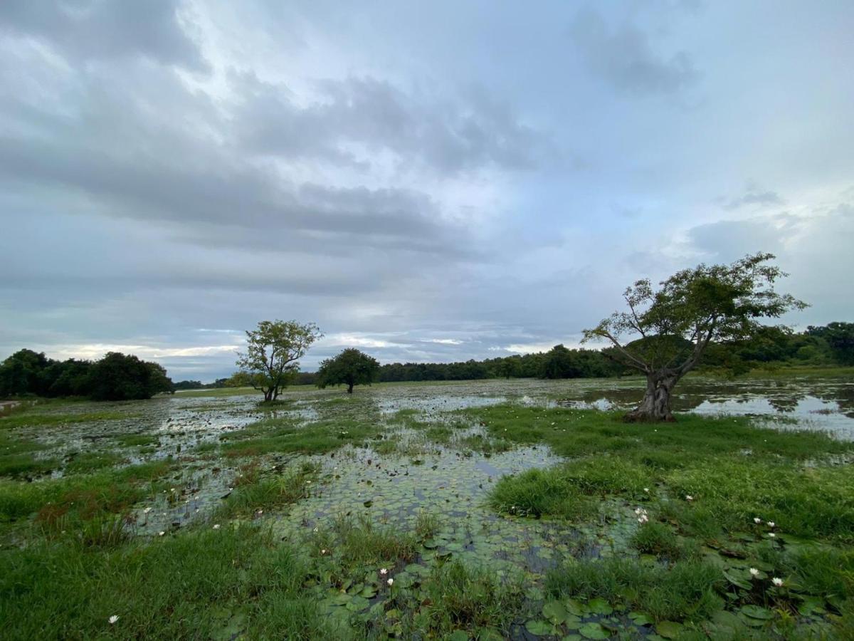 Lake Edge Dambulla Exterior foto